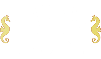Casino Cruise logo