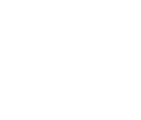 Skol Casino logo