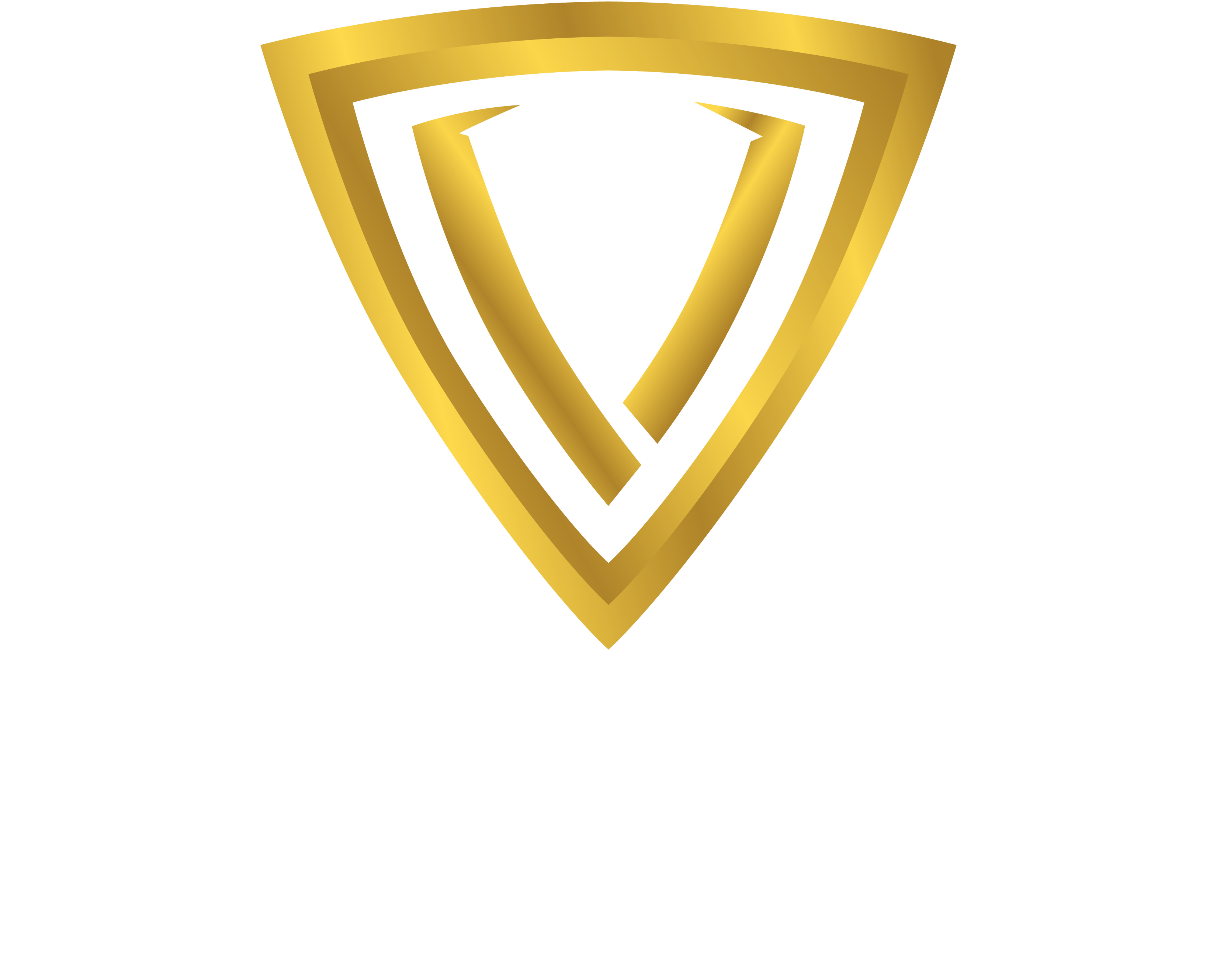 Vegasoo Casino logo